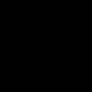 Meet your Posher, Quan